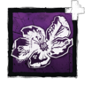 Dried Cherry Blossom icon