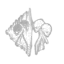 Hex: Undying icon