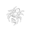 Play With Your Food icon