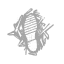 predator.webp  