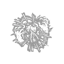 Shattered Hope icon