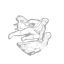 Superior Anatomy icon