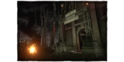 Disturbed Ward
 image