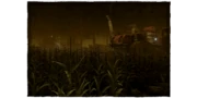 Rotten Fields
 image