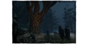 Shelter Woods
 image