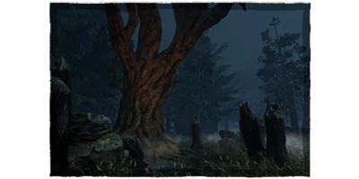 Shelter Woods
 image