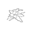 Botany Knowledge icon