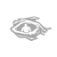 Dark Sense icon