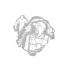 Stake Out icon