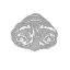 Wake Up! icon